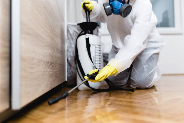Best Bed Bug Extermination  in Compo, CT
