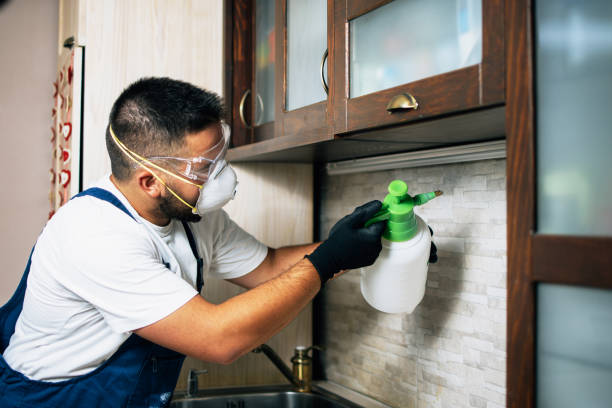 Best Pest Prevention Services  in Compo, CT