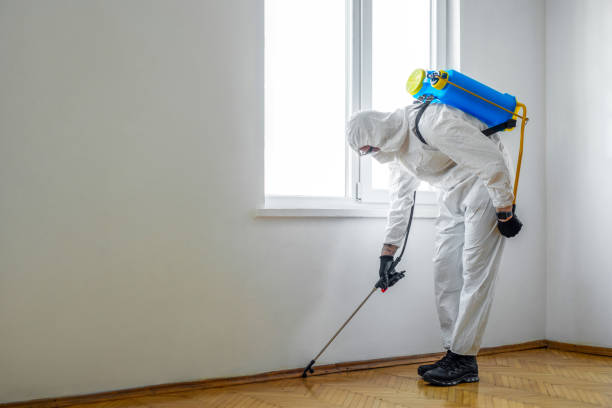 Best Pest Prevention Services  in Compo, CT