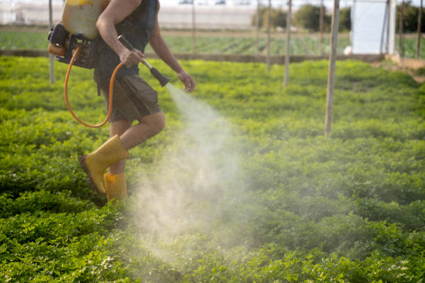 Best Affordable Pest Control Services  in Compo, CT