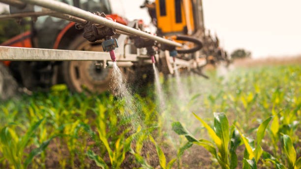 Best Wildlife Control Services  in Compo, CT